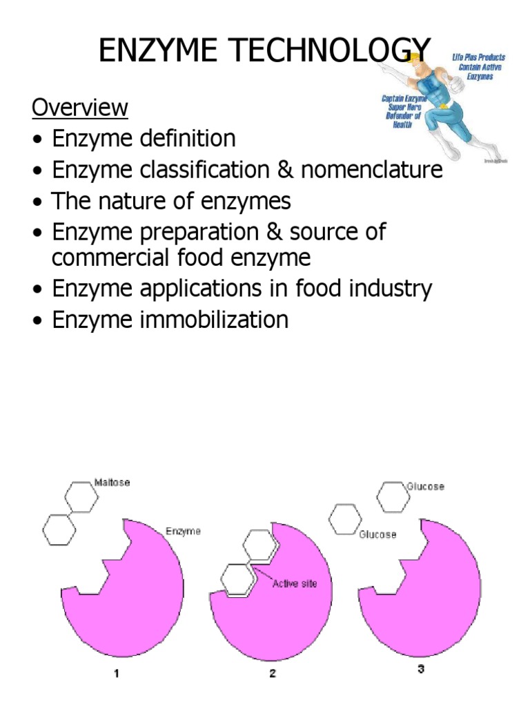 Topic4 Enzyme Technology Starch Hydrolysis