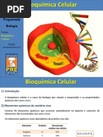 bioquimica celular