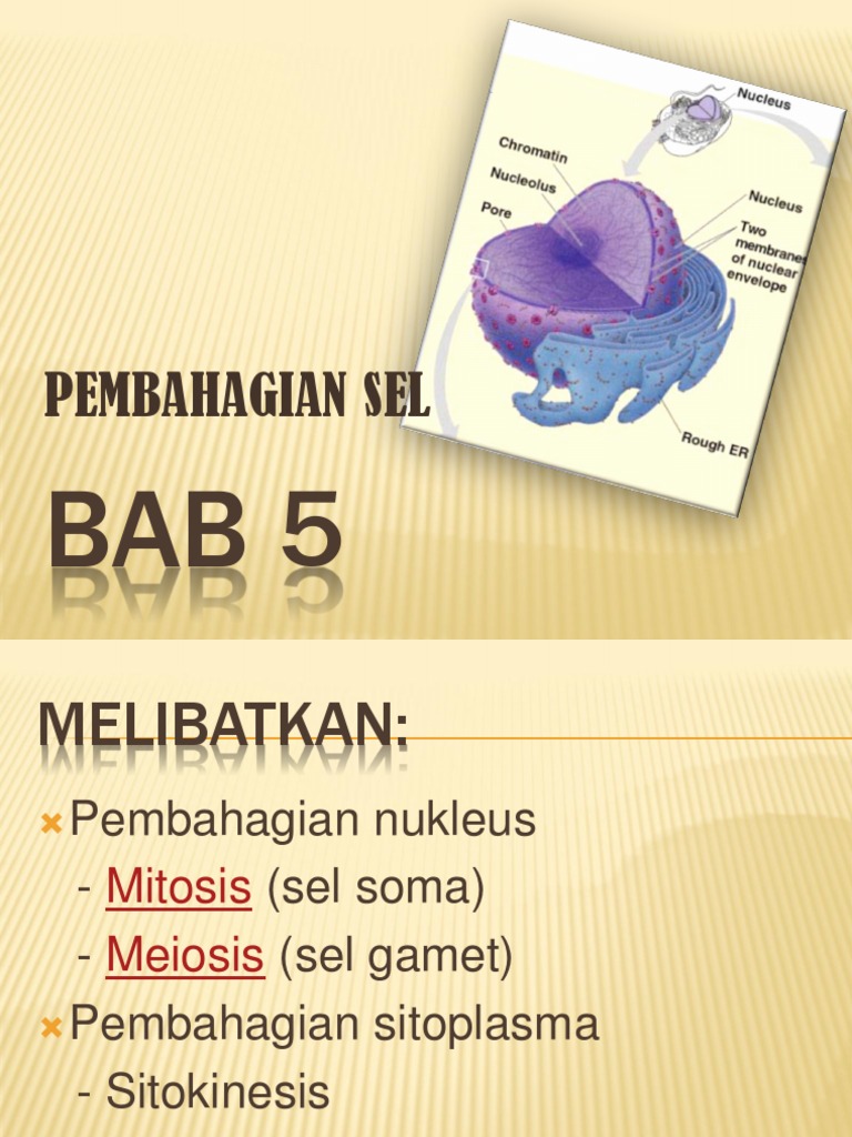 Modul Soalan Biologi Tingkatan 4 - J Kosong s