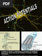 Download ACTION POTENTIAL by MrWestbury SN1202865 doc pdf