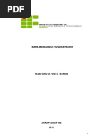 LENA RELATORIO - Cópia