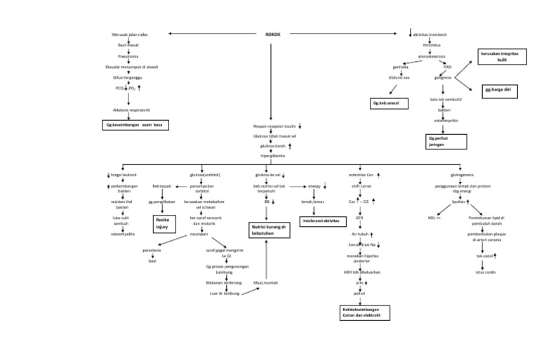 Patofisiologi/pathway Diabetes Mellitus Tipe 2 | PDF | Kesehatan ...