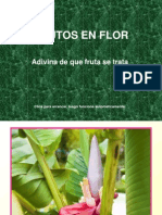 Frutos en Flor