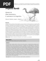 PROYECTO ÑANDU