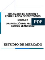 Organización Del Proyecto y Estudio de Mercado