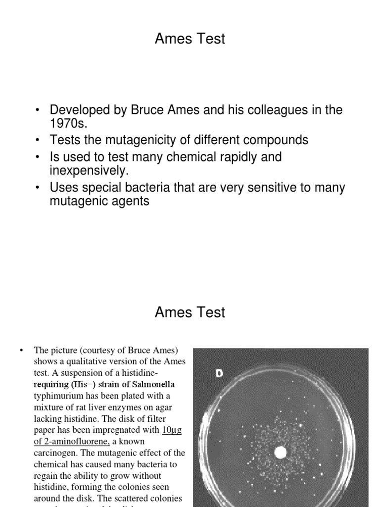 Ames Test | PDF | Mutagen | Mutation