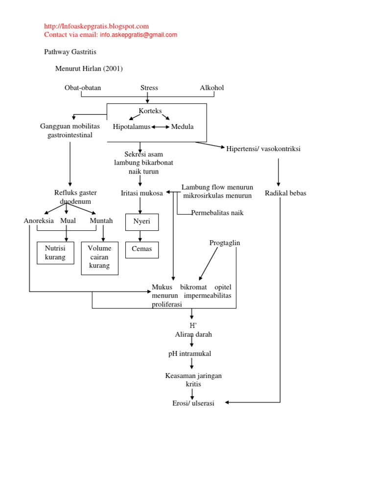 Pathway | PDF