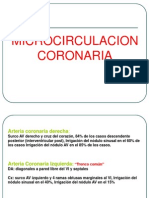 microcirculacion coronaria
