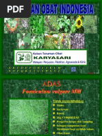 Download tanaman obat indonesia by Cloud Naa Yeppa SN120431184 doc pdf