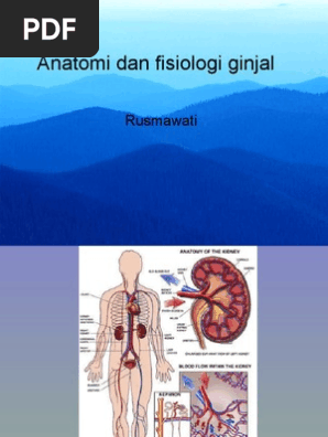 Download 99 Koleksi Gambar Ginjal Pdf Paling Bagus HD