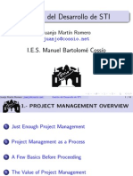 Gesti On Del Desarrollo de STI: I.E.S. Manuel Bartolom e Coss Io