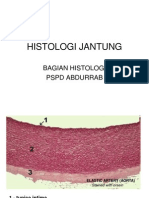 Histologi Jantung: Bagian Histologi PSPD Abdurrab
