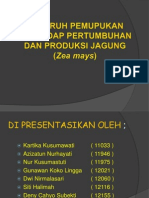 Presentation 1