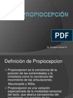 Propiocepcion