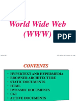 World Wide Web (WWW) : Mcgraw-Hill ©the Mcgraw-Hill Companies, Inc., 2000