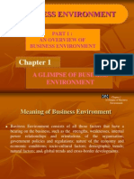 Business Environment