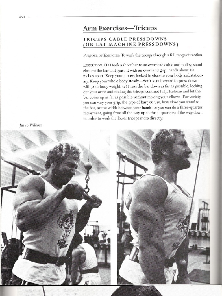Arnold Schwarzenegger-Bodybuilding Encyclopedia- | Elbow | Arm