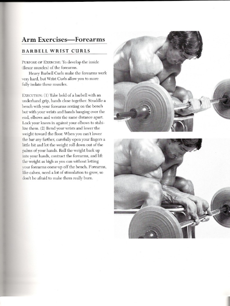 Arnold Schwarzenegger-Bodybuilding Encyclopedia- | Anatomical Terms Of