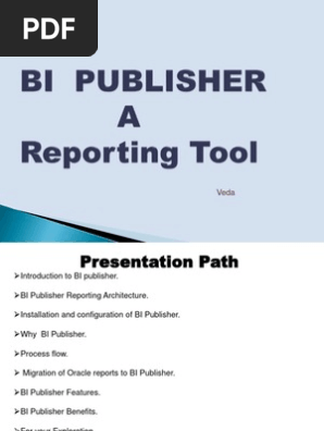 Bi Publisher
