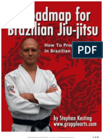 bjj roadmap