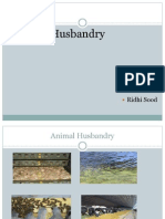 Animal Husbandry