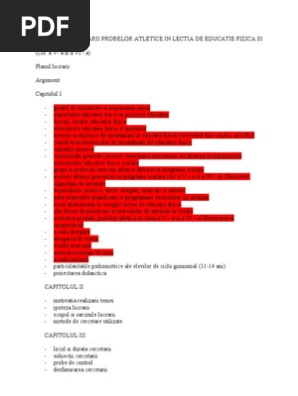 Plan Lucrare Grad I Doc