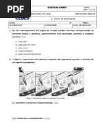 Teste Biologia 12º ano - Sistema Imunitário