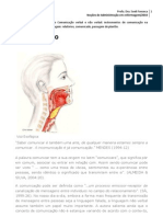 Comunicaçao Verbal e Nao Verbal