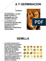 14.Semilla+y+Germinacion