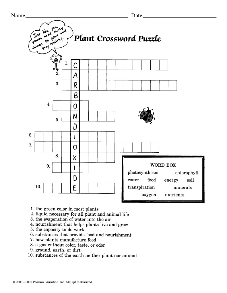 worksheet science year 5 pdf