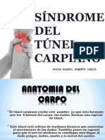 Tunel Carpiano