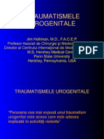 Trauma Urogenitala