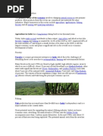 Download Primary Sector by husain_2225760 SN12076345 doc pdf