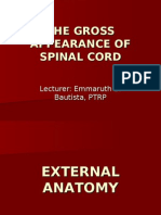 The Gross Appearance of Spinal Cord-Lec by Emma