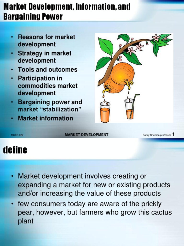 Market Development | PDF