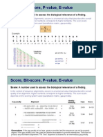 Bioinfo - BLAST_scores.pdf