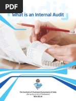 Download internal audit basics by ecpsaradhi SN120823140 doc pdf