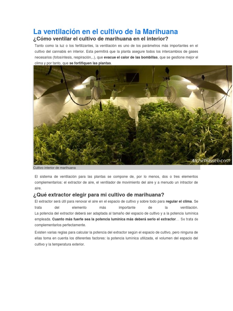 La Ventilación en El Cultivo de La Marihuana | PDF | Cannabis (Droga) |  Bombilla incandescente, image size:768x1024