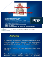 Conceitos de ECG