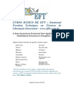 Curso EFT Andre Lima