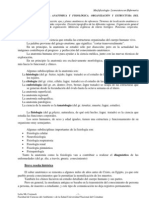 Terminología Anatómica y Fisiológica. Organización y Estructura Del Cuerpo Humano.