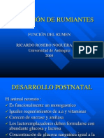 NUTRICIÓN DE RUMIANTES Funcion Del Rumen