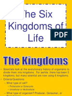 6 Kingdoms