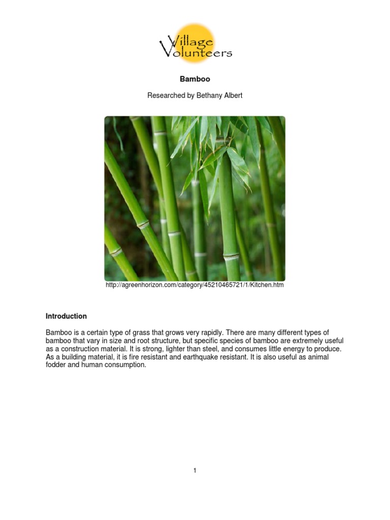 Bamboo | PDF | Bamboo | Kenya