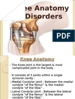 7 - Knee Joint - D3