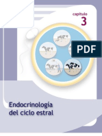 Endroquinologia Del Ciclo Estral