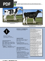 Top 100 TPI International Bulls | PDF