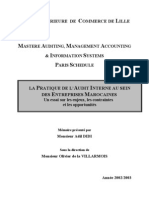 La Pratique D'audit Interne PDF