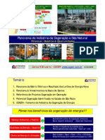 COGENGAS_Perspectivas_Desafios_Oportunidades_13mai09.pdf