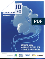 Cloud Services - Issues and Opportunities For Services Providers